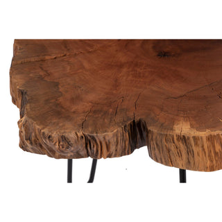 Phillips CollectionBurled Coffee Table, Black Metal Legs, SmallTH109378Aloha Habitat
