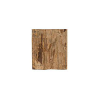 Phillips CollectionCast Petrified Wood Wall Tile, Resin, SquarePH89988Aloha Habitat