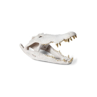 Phillips CollectionCrocodile Skull, Roman Stone, Gold LeafPH56708Aloha Habitat
