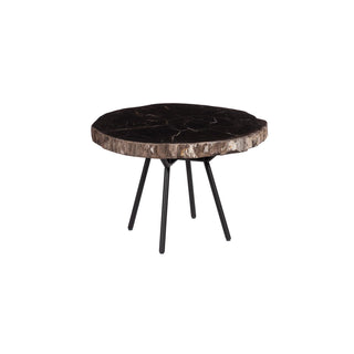 Phillips CollectionPetrified Coffee Table, Round, Metal Black BaseID114670Aloha Habitat
