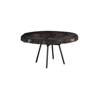 Phillips CollectionPetrified Coffee Table, Round, Metal Black BaseID114671Aloha Habitat