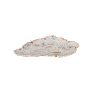 Phillips CollectionPetrified Wood Plate, Assorted Color and Shape, SMID66471Aloha Habitat