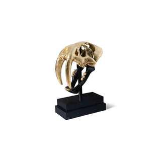 Phillips CollectionSaber Tooth Tiger Skull, Black, Gold LeafPH67580Aloha Habitat