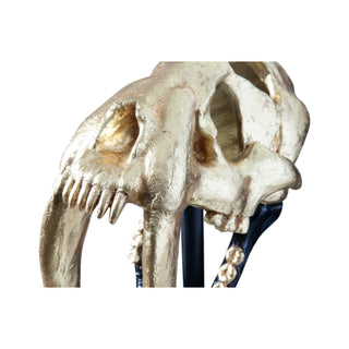Phillips CollectionSaber Tooth Tiger Skull, Black, Gold LeafPH67580Aloha Habitat