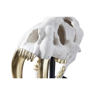 Phillips CollectionSaber Tooth Tiger Skull, Roman StonePH56706Aloha Habitat