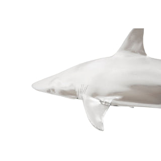 Phillips CollectionWhaler Shark, Silver LeafPH64545Aloha Habitat